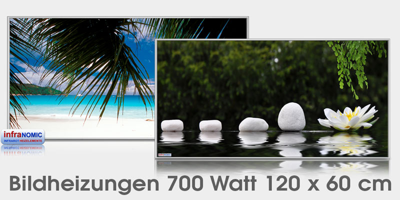 Infrarot Bildheizungen 700 Watt mit Alurahmen silber M10 auch Rahmenlos bestellbar