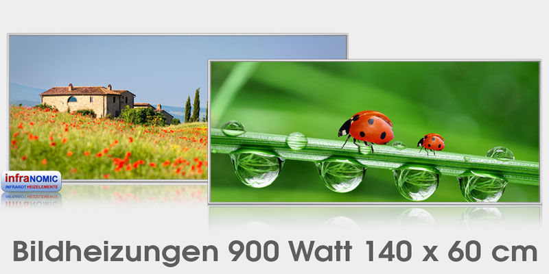 Infrarot Bildheizungen 900 Watt mit Alurahmen silber M10 auch Rahmenlos bestellbar