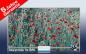 Preview: Bildheizung-Motiv Blumenwiese für Standard Infrarotheizungen