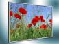 Preview: Bildheizung-Motiv Roter Mohn für Standard Infrarotheizungen