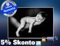 Preview: infrarot Bildheizung 500 Watt 90x60 M10-SL Baby