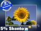 Preview: Infrarot Bildheizung 500 Watt 90x60 M10-SL Sonnenblume II