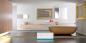 Preview: Design Spiegel Infrarotheizung 500 Watt 90x60 Stilrahmen StG Blumen