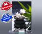 Preview: Infrarot Bildheizung 500 Watt 90x60 M10-SL Wellness