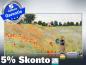 Preview: Infrarot Bildheizung Kunst 700 Watt 120x60 M10-SL Klatschmohn