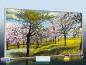 Preview: Infrarot Bildheizung Kunst 700 Watt 120x60 M10-SL Baumblüte