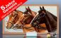Preview: Infrarot Bildheizung 700 Watt 120x60 Holzrahmen HB30 Drei Pferde