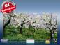 Preview: Infrarot Bildheizung Kunst 700 Watt 120x60 M10-SL Apfelblüte