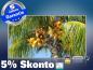 Preview: Infrarot Bildheizung 600 Watt 110x60 M10-SL Palmenfrüchte