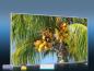 Preview: Infrarot Bildheizung 600 Watt 110x60 M10-SL Palmenfrüchte