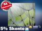 Preview: Infrarot Bildheizung 400 Watt 70x60 M10-SL Pusteblumen