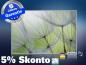 Preview: infrarot Bildheizung 500 Watt 90x60 M10-SL Pusteblumen