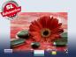 Preview: infrarot Bildheizung 500 Watt 90x60 M10-SL Rote Gerbera