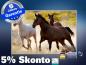Preview: infrarot Bildheizung 500 Watt 90x60 M10-SL Wild-Pferde