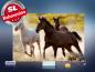 Preview: infrarot Bildheizung 500 Watt 90x60 M10-SL Wild-Pferde