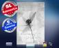 Preview: infrarot Bildheizung 500 Watt 90x60 M10-SL Abstract-Blume