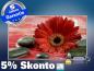 Preview: Infrarot Bildheizung 600 Watt 110x60 M10-SL Rote Gerbera