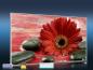 Preview: Infrarot Bildheizung 600 Watt 110x60 M10-SL Rote Gerbera