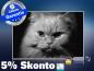 Preview: infrarotheizung mit Bild Bildheizung 500 Watt 90x60 M10-SL Katze