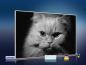 Preview: infrarotheizung mit Bild Bildheizung 500 Watt 90x60 M10-SL Katze