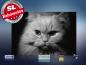Preview: infrarotheizung mit Bild Bildheizung 500 Watt 90x60 M10-SL Katze