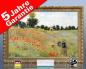 Preview: Infrarot Bildheizung Kunst 500 Watt 90x60 StG Klatschmohn (Monet)