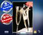 Preview: infrarot Bildheizung 500 Watt 90x60 M10-SL Champagner