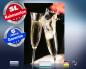 Preview: infrarot Bildheizung 500 Watt 90x60 M10-SL Champagner