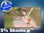 Preview: Infrarot Bildheizung Kunst 600 Watt 110x60 M10M Primaballerina