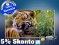 Preview: Infrarot Bildheizung 600 Watt 110x60 M10-SL Tiger
