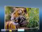 Preview: Infrarot Bildheizung 600 Watt 110x60 M10-SL Tiger