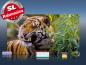 Preview: Infrarot Bildheizung 600 Watt 110x60 M10-SL Tiger