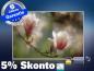 Preview: infrarot Bildheizung 500 Watt 90x60 M10-SL Magnolienblüten