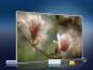 Preview: infrarot Bildheizung 500 Watt 90x60 M10-SL Magnolienblüten