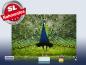Preview: infrarot Bildheizung 500 Watt 90x60 M10-SL Pfau