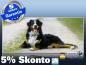 Preview: Infrarot Bildheizung 900 Watt 140x60 M10-SL Berner Sennhund