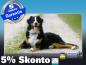Preview: Infrarot Bildheizung 700 Watt 120x60 M10-SL Berner Sennhund