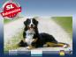 Preview: Infrarot Bildheizung 700 Watt 120x60 M10-SL Berner Sennhund