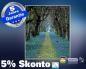 Preview: Infrarot Bildheizung 400 Watt 70x60 M10-SL Allee