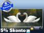 Preview: Infrarot Bildheizung 900 Watt 140x60 M10-SL Schwäne
