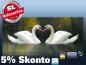 Preview: Infrarot Bildheizung 900 Watt 140x60 M10-SL Schwäne