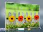 Preview: Infrarot Bildheizung 500 Watt 90x60 M10-SL Blumenzaun