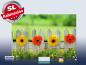 Preview: Infrarot Bildheizung 500 Watt 90x60 M10-SL Blumenzaun
