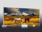 Preview: Infrarot Bildheizung 900 Watt 140x60 M10-SL Wildpferde