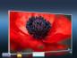 Preview: Infrarot Bildheizung 600 Watt 110x60 M10-SL Mohn