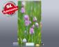 Preview: Infrarot Bildheizung 600 Watt 110x60 M10-SL Schnittlauch