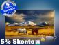 Preview: Infrarot Bildheizung 600 Watt 110x60 M10-SL Wildpferde