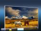 Preview: Infrarot Bildheizung 600 Watt 110x60 M10-SL Wildpferde
