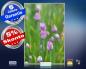Preview: Infrarot Bildheizung 500 Watt 90x60 M10-SL Schnittlauch