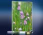 Preview: Infrarot Bildheizung 500 Watt 90x60 M10-SL Schnittlauch